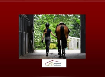 Professionelles Reitsportzentrum NRW