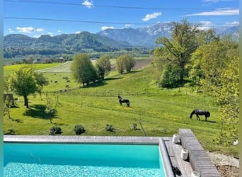 Ref2522HC Österreich, Kärnten, Völkermarkt - Wohnen, wo andere Urlaub machen- mit Ihren Pferde!