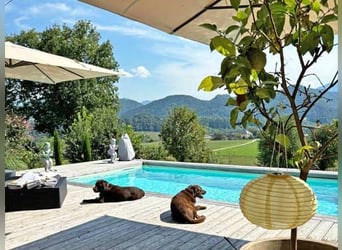 Ref2522HC Österreich, Kärnten, Völkermarkt - Wohnen, wo andere Urlaub machen- mit Ihren Pferde!