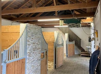 Ref2522HC Österreich, Kärnten, Völkermarkt - Wohnen, wo andere Urlaub machen- mit Ihren Pferde!