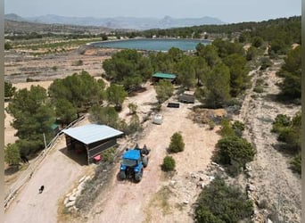 Ref2523SS SPANIEN, Alicante, Monóvar - gut eingeführte Pferde-Gäste-Ranch zu verkaufen!