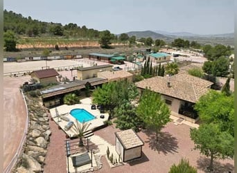 Ref2523SS SPANIEN, Alicante, Monóvar - gut eingeführte Pferde-Gäste-Ranch zu verkaufen!