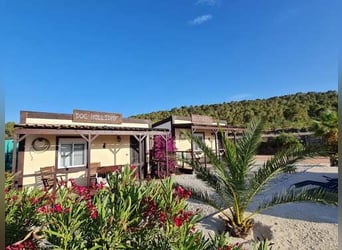 Ref2523SS SPANIEN, Alicante, Monóvar - gut eingeführte Pferde-Gäste-Ranch zu verkaufen!