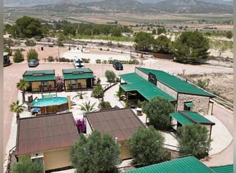 Ref2523SS SPANIEN, Alicante, Monóvar - gut eingeführte Pferde-Gäste-Ranch zu verkaufen!