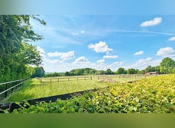Ref2529 NRW, Nordrhein-Westfalen, Raum 33739 Bielefeld - gepflegte Reitanlage in unverbaubarer Lage