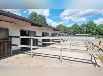 Ref2529 NRW, Nordrhein-Westfalen, Raum 33739 Bielefeld - gepflegte Reitanlage in unverbaubarer Lage