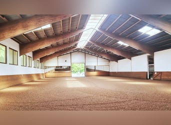 Ref2529 NRW, Nordrhein-Westfalen, Raum 33739 Bielefeld - gepflegte Reitanlage in unverbaubarer Lage