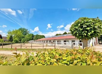 Ref2529 NRW, Nordrhein-Westfalen, Raum 33739 Bielefeld - gepflegte Reitanlage in unverbaubarer Lage