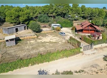 Ref2531 Spanien, Valencia, Monserrat - Finca mit Pferdestall zu verkaufen!