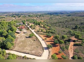Ref2531 Spanien, Valencia, Monserrat - Finca mit Pferdestall zu verkaufen!