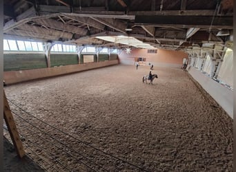 Reitanlage bei Dresden - Anteil