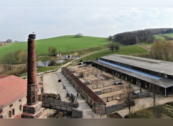 Reitanlage bei Dresden - Anteil