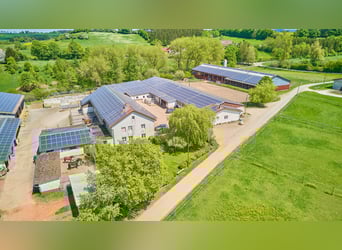 Reitanlage bei Villingen-Schwenningen mit lukrativer PV-Anlage, zwei Reithallen in traumhafter Lage!