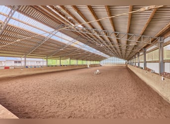 Reitanlage bei Villingen-Schwenningen mit lukrativer PV-Anlage, zwei Reithallen in traumhafter Lage!