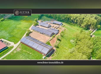 Reitanlage bei Villingen-Schwenningen mit lukrativer PV-Anlage, zwei Reithallen in traumhafter Lage!