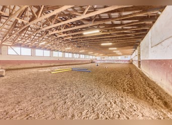 Reitanlage bei Villingen-Schwenningen mit lukrativer PV-Anlage, zwei Reithallen in traumhafter Lage!
