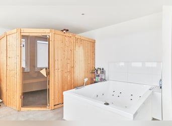 Reitanlage im Kreis Wesel zu verkaufen – Preis inkl. Dachsanierung!