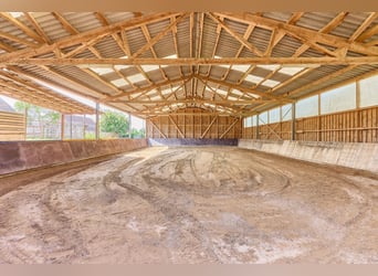 Reitanlage im Landkreis Bad Kreuznach – Fachwerktraum in Stromberg mit Reithalle!