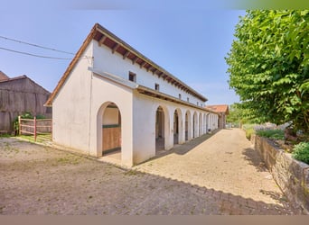 Reitanlage im Landkreis Bad Kreuznach – Fachwerktraum in Stromberg mit Reithalle!