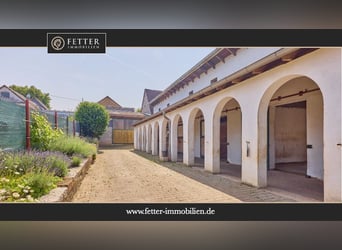 Reitanlage im Landkreis Bad Kreuznach – Fachwerktraum in Stromberg mit Reithalle!