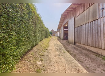 Reitanlage im Landkreis Bad Kreuznach – Fachwerktraum in Stromberg mit Reithalle!