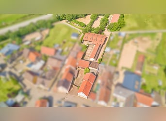 Reitanlage im Landkreis Bad Kreuznach – Fachwerktraum in Stromberg mit Reithalle!