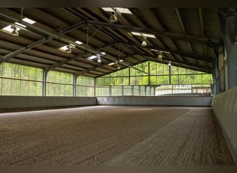 Reitanlage im Saarland bei St.Wendel in malerischer Alleinlage zu verkaufen!