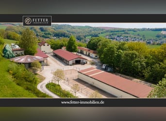 Reitanlage im Saarland bei St.Wendel in malerischer Alleinlage zu verkaufen!