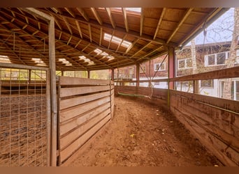Reitanlage im Schwarzwald auf einem Erbpacht-Grundstück mit zwei Wohneinheiten!
