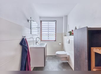 Reitanlage in Alleinlage im Main-Kinzig-Kreis zu verkaufen – mit großem Landhaus & Außenpool!