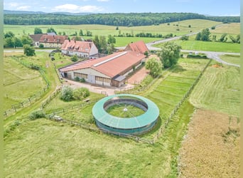 Reitanlage in Bayern mit historischem Wohnhaus und gepflegten Trainingsbedingungen!
