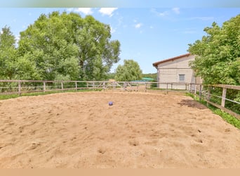 Reitanlage in Bayern mit historischem Wohnhaus und gepflegten Trainingsbedingungen!