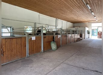 Reitanlage in Bayern mit mehreren Wohneinheiten und Hallen zu verkaufen!