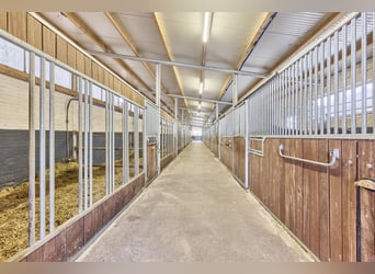 Reitanlage in Dannenberg (Elbe) in Niedersachsen – sanierter Hof & Wohnhaus mit Potenzial!