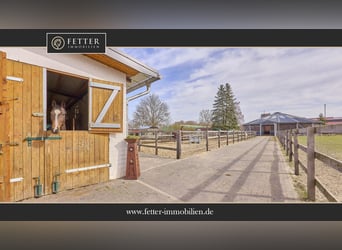 Reitanlage in Dannenberg (Elbe) in Niedersachsen – sanierter Hof & Wohnhaus mit Potenzial!
