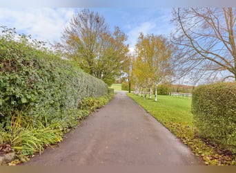 Reitanlage in Hessen im Main-Kinzig-Kreis – Alleinlage mit Reithalle, Wohnhaus & Pool!