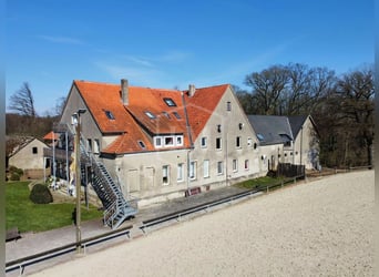 Reitanlage in Ibbenbüren