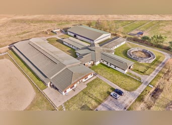 Reitanlage in Mecklenburg-Vorpommern – direkt an der Mecklenburgischen Seenplatte in einer touristis