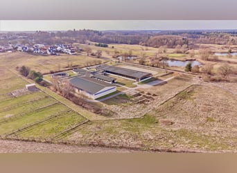 Reitanlage in Mecklenburg-Vorpommern – direkt an der Mecklenburgischen Seenplatte in einer touristis