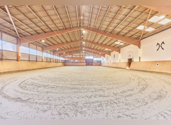 Reitanlage in Niedersachsen (Landkreis Uelzen) mit Wohn- und Gästehaus zu verkaufen!