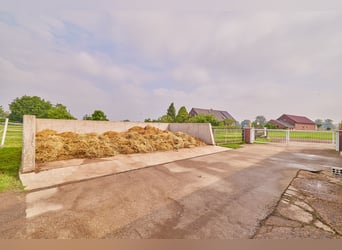 Reitanlage in Nordrhein-Westfalen im Landkreis Wesel – Dressurreiter aufgepasst!