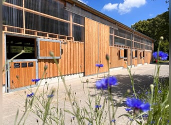 Reitanlage kaufen im Landkreis Cuxhaven – Gutshaus, Reithalle, Wald und 10,5 ha Land