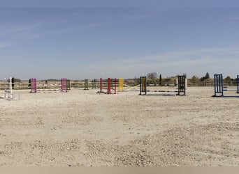 Reitanlage mit außergewöhnlichem Potenzial