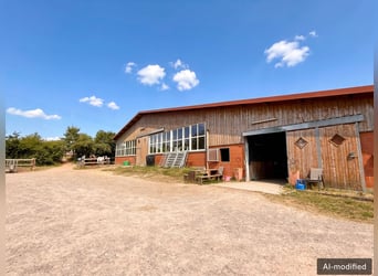 Reitanlage mit Reithalle und Außenreitplatz in Panoramalage - Landkreis Osnabrück
