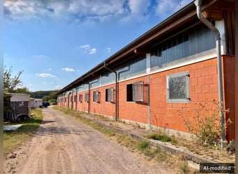 Reitanlage mit Reithalle und Außenreitplatz in Panoramalage - Landkreis Osnabrück