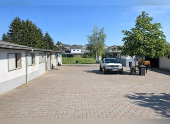 Reitanlage mit Wohn- und Gewerbeeinheit in Hohenahr - renditestark - vielseitig nutzbare