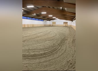 Reithalle mit 21 Boxen bei  Bremervörde