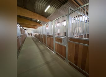 Reithalle mit 21 Boxen bei  Bremervörde