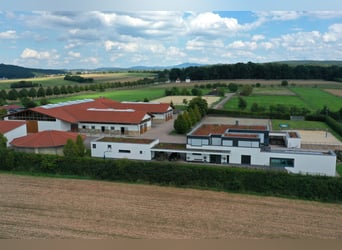 Reitidylle trifft Design – stilvoll leben, luxuriös genießen V13132