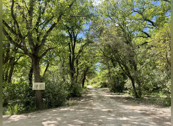 Reitkunst auf höchstem Niveau und Lebensart aus der Provence